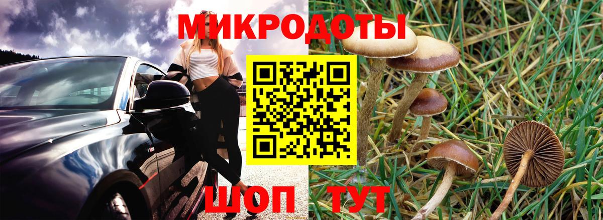 Псилоцибиновые грибы Psilocybe  Вход с VPN  Истра 